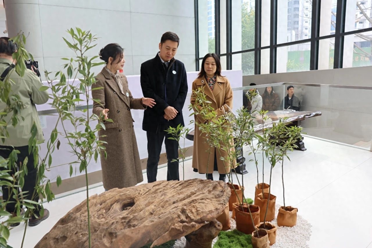 宜宾金丝楠木科普活动启动！千年文化与匠人精神如何碰撞？