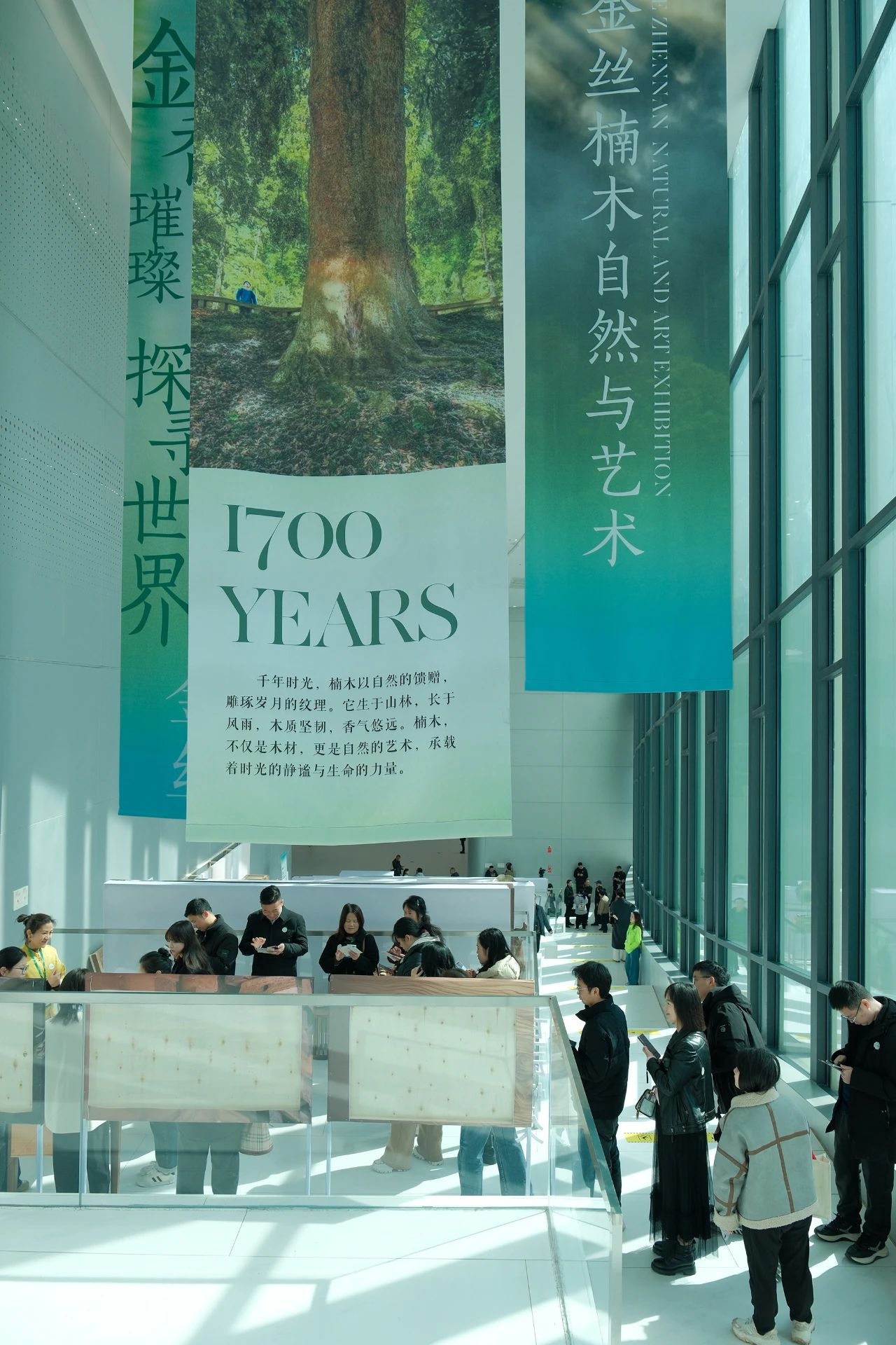 宜宾金丝楠木科普活动启动！千年文化与匠人精神如何碰撞？  第2张