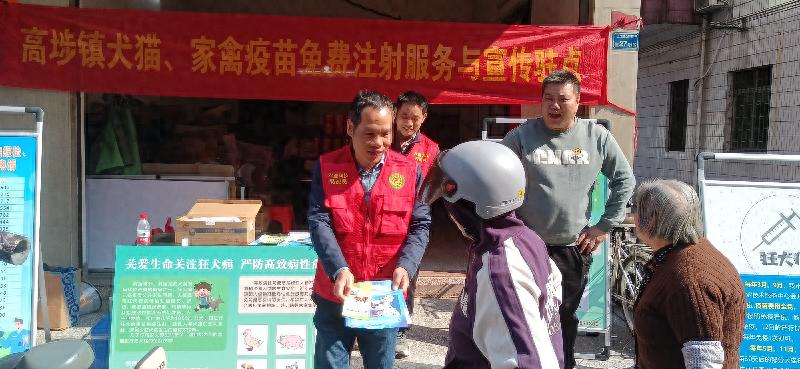 狂犬病威胁不容忽视！上江城村如何通过免费疫苗注射保障村民安全？