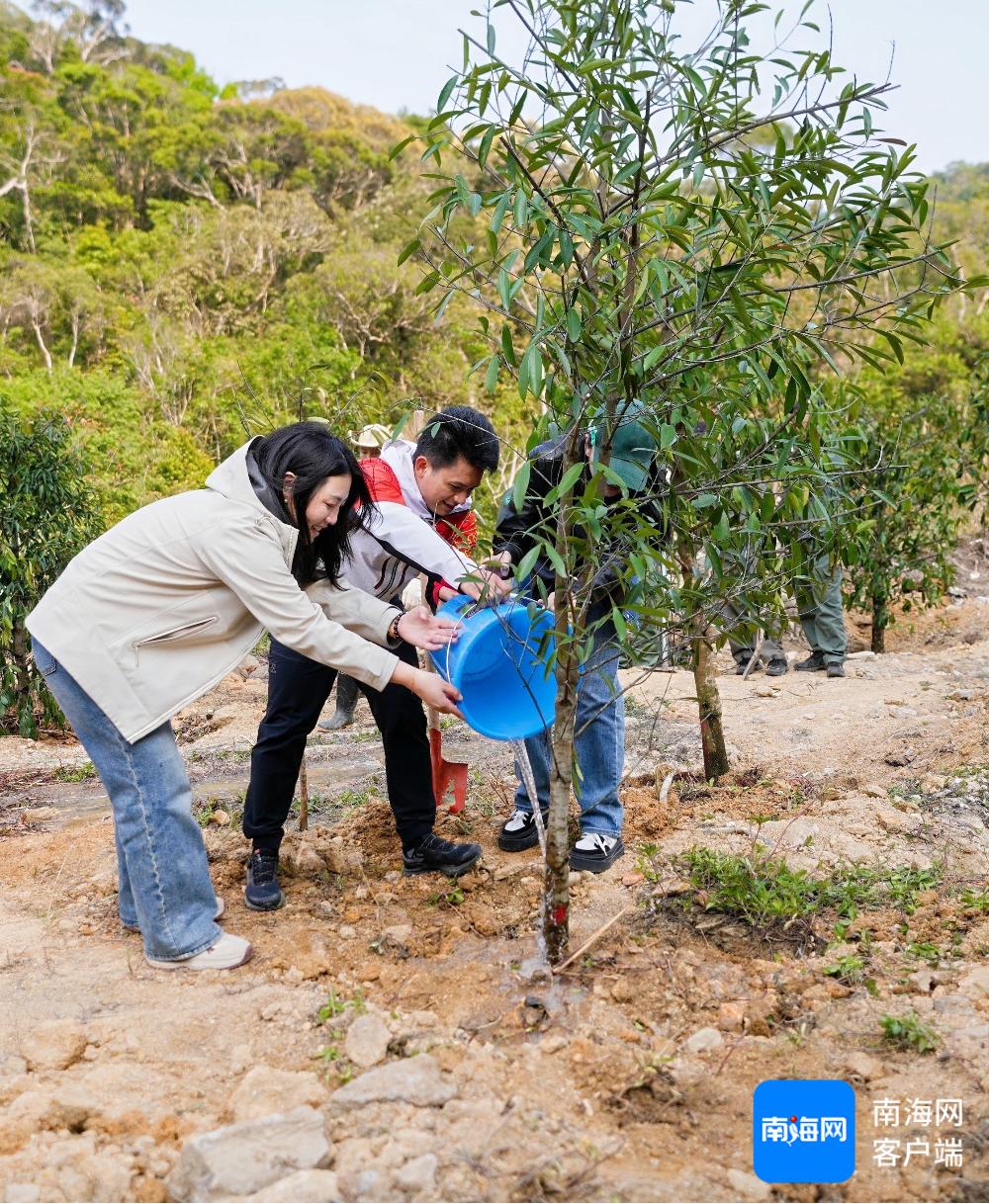 海南热带雨林国家公园：你见过这么壮观的生态修复现场吗？  第2张