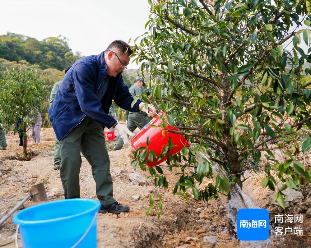 海南热带雨林国家公园：你见过这么壮观的生态修复现场吗？  第3张