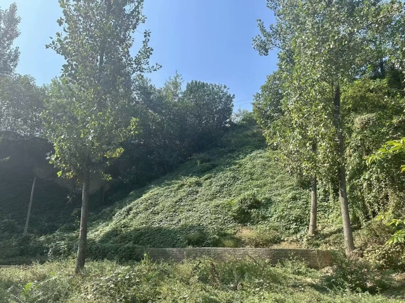 清水河惊现垃圾瀑布群！谁来守护我们的绿水青山？  第2张