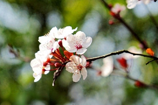 贵阳气温大起大落！从31℃骤降到2℃，你准备好了吗？