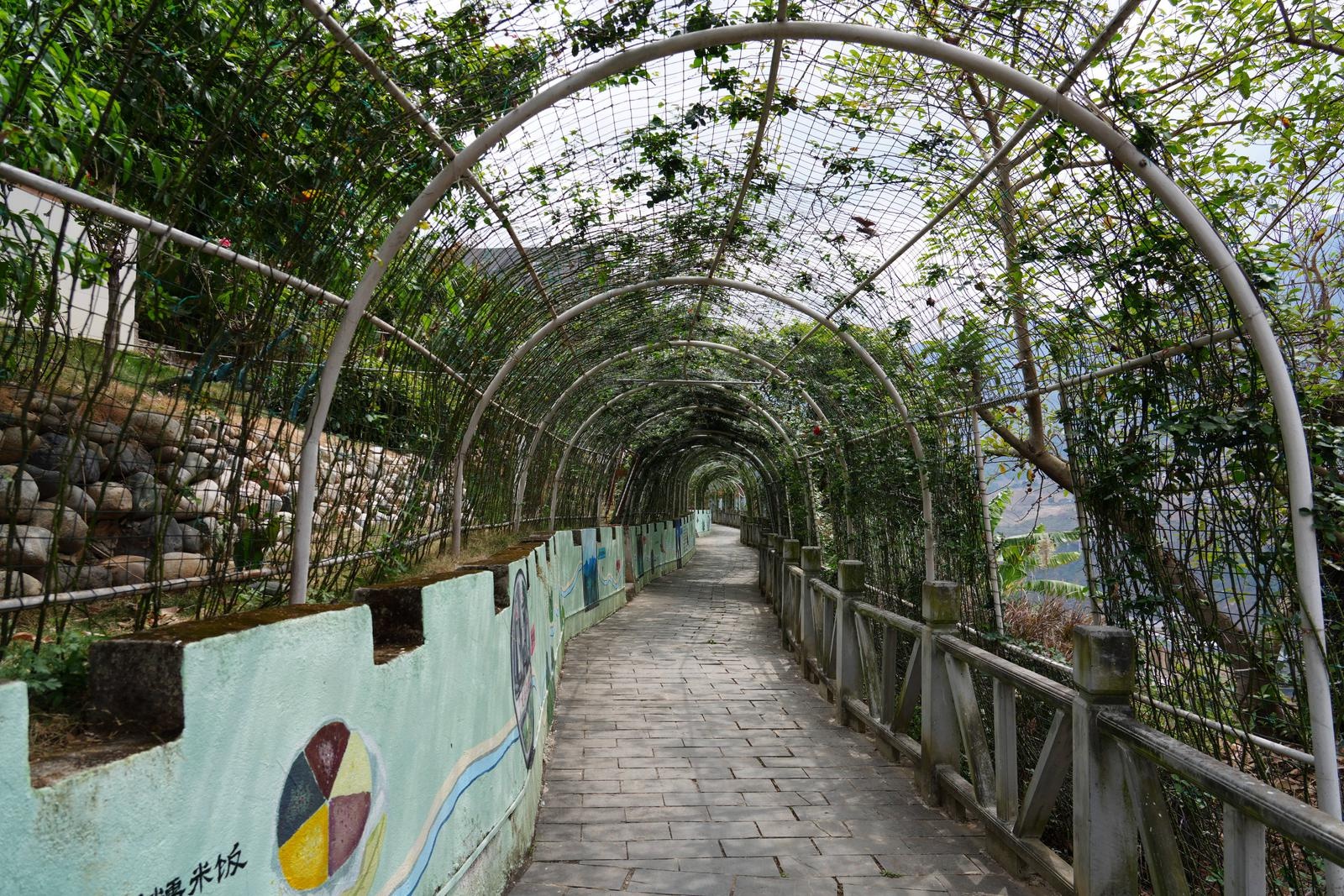 乡村振兴新动力！丙舍坝如何通过农文旅融合打造网红打卡地？  第5张