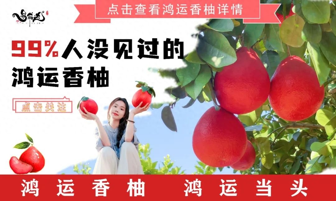 国内首条预制T梁钢筋自动化生产线震撼亮相！2分钟成型，工人寥寥可数？