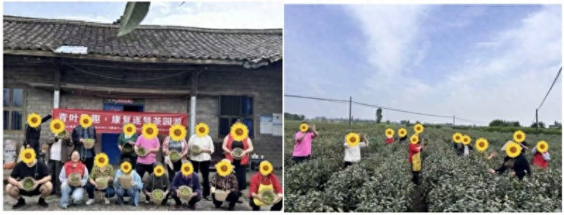 茶香治愈心灵！峨眉山如何用茶园开启精神障碍康复新篇章？