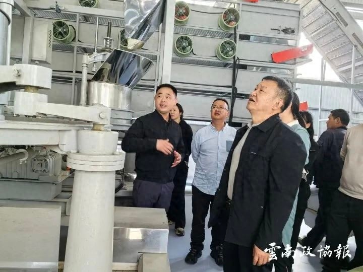 龙陵县政协调研市场监督管理局，发现监管盲区！如何用大数据提升监管效率？