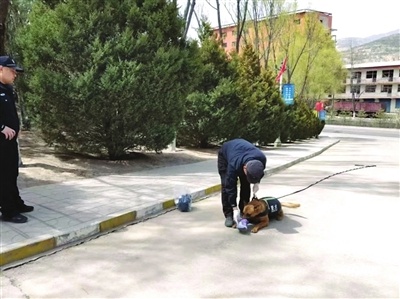警犬嗅鞋追踪17岁少年，南山森林公园惊现奇迹  第1张