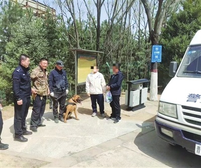 警犬嗅鞋追踪17岁少年，南山森林公园惊现奇迹  第2张
