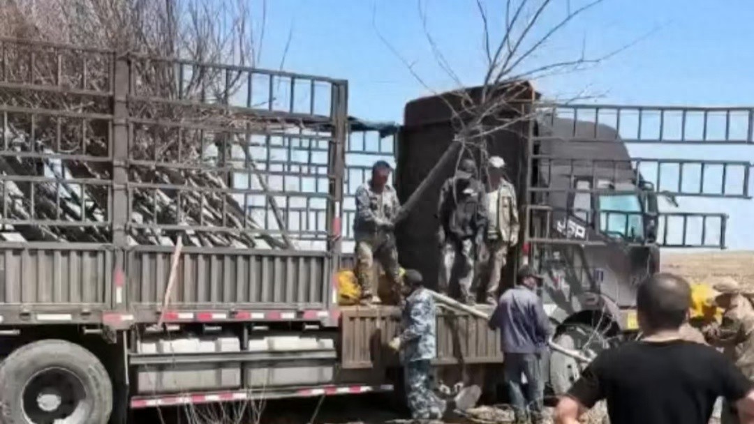 政协委员李楠捐赠196棵元宝枫树，价值2万余元！你的家乡有这样的爱心人士吗？