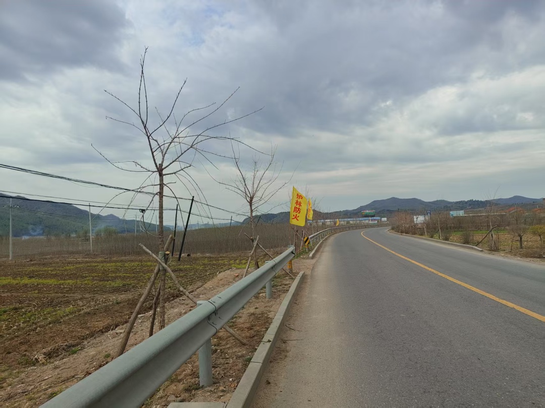 政协委员李楠捐赠196棵元宝枫树,价值2万余元!你的家乡有这样的爱心人士吗? 第3张 政协委员李楠捐赠196棵元宝枫树,价值2万余元!你的家乡有这样的爱心人士吗? 第3张