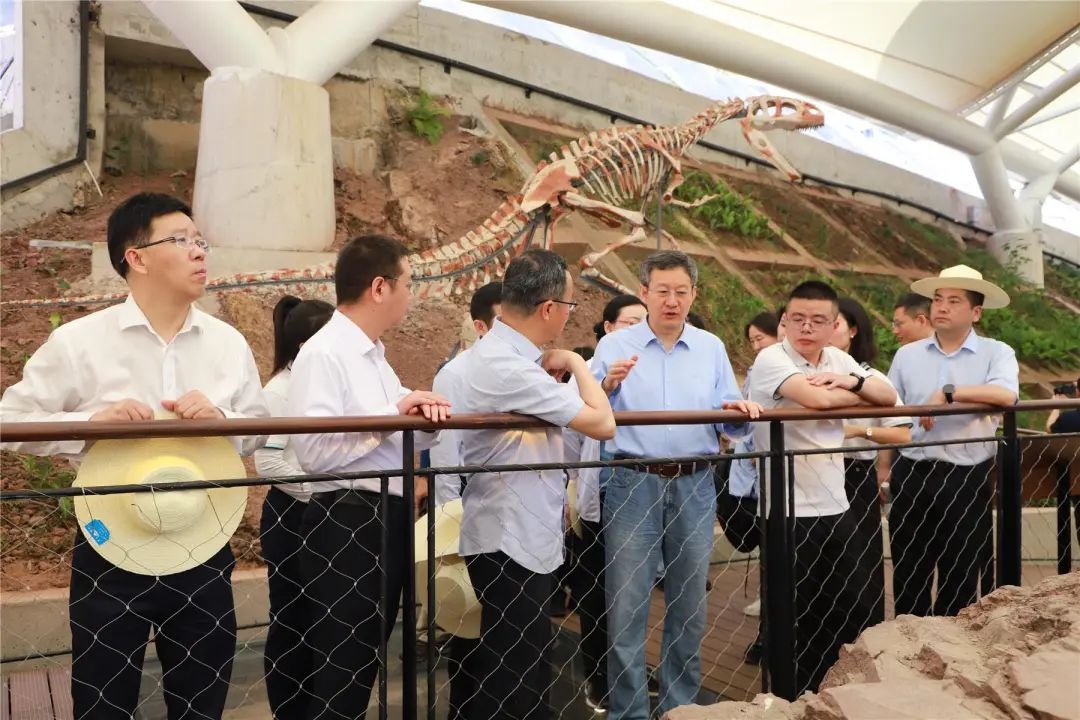 云阳恐龙化石竟隐藏着恐龙巨型化的惊天秘密？专家齐聚揭秘  第2张