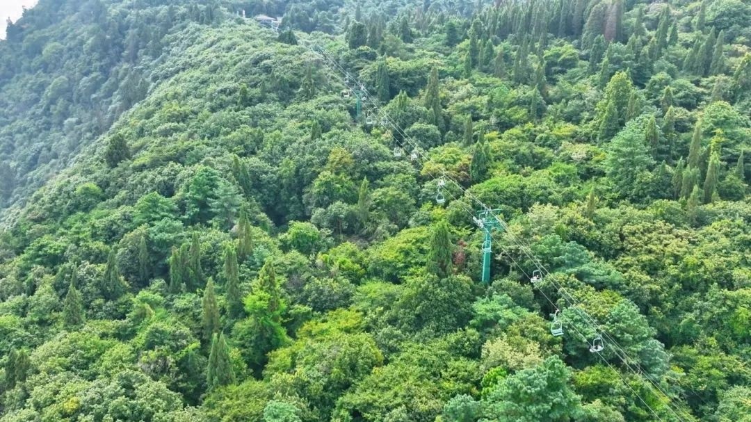 32年陪伴终告别！昆明西山龙门索道停运，你的童年记忆还在吗？