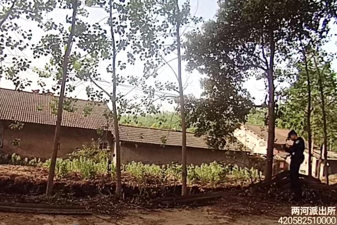 清晨钢模神秘消失！谁在雨夜伸出黑手？警方追踪惊现三轮车大盗  第1张