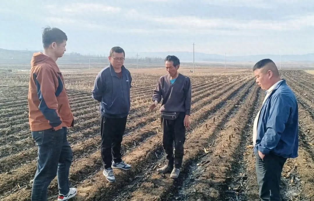 罗通山镇如何从四大环节发力，筑牢平安稳定防线？