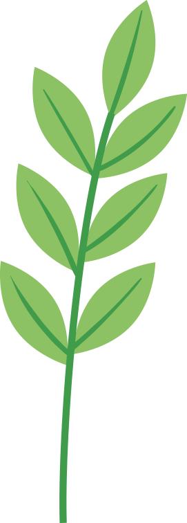 守护舌尖上的晚年！昆都仑区如何筑牢养老机构食品安全防线？