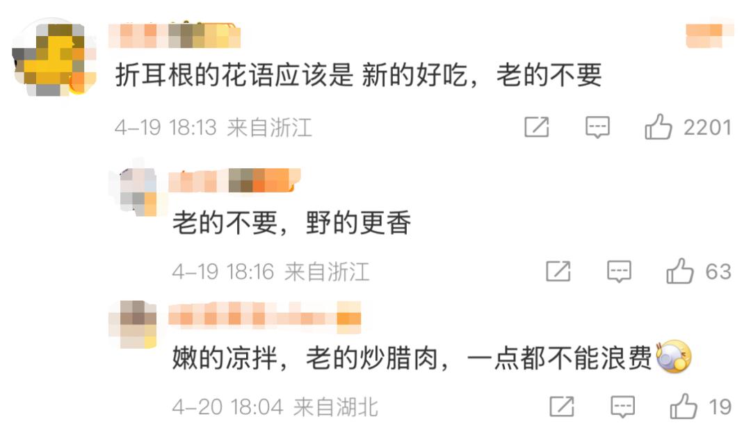 折耳根：为何有人爱到疯狂，有人恨之入骨？揭秘这神奇植物的爱恨情仇  第3张