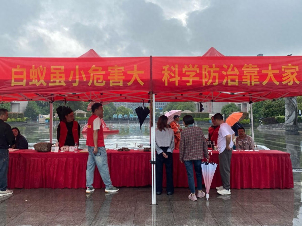 白蚁虽小危害大！你知道它们能摧毁整栋房子吗？