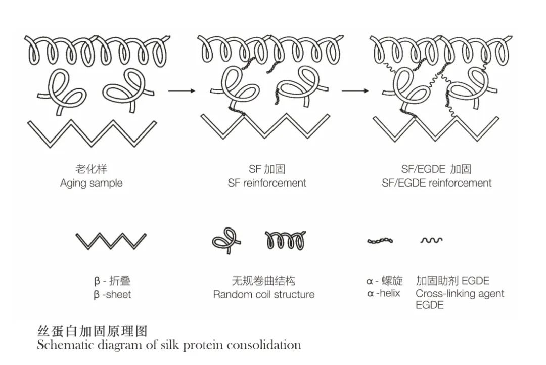 5月21日小满！700年前的时尚单品，你知道是什么吗？  第4张