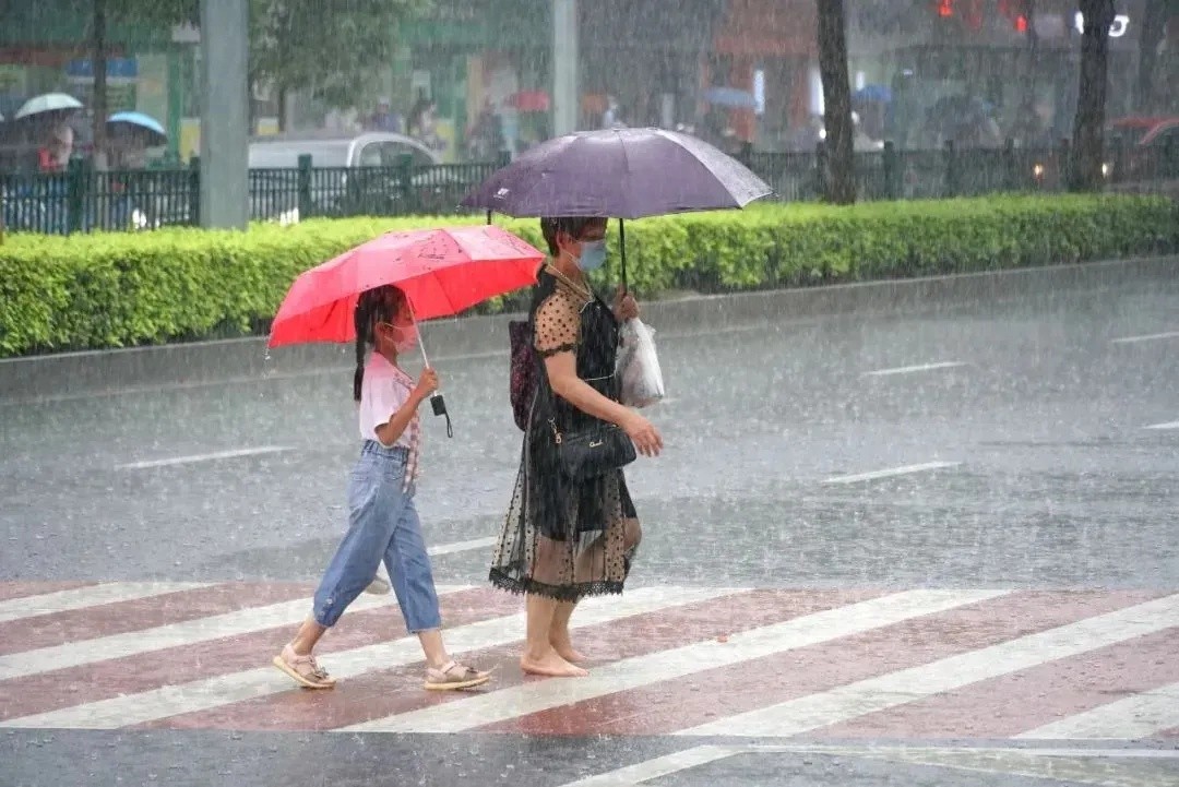 强降雨不断！2025年我市龙舟水期间灾害风险加大？咋应对