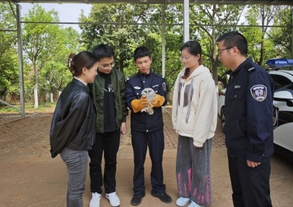 当生物多样性日遇上昆明呈贡，非法捕捞为何全破？背后藏着啥秘密  第3张