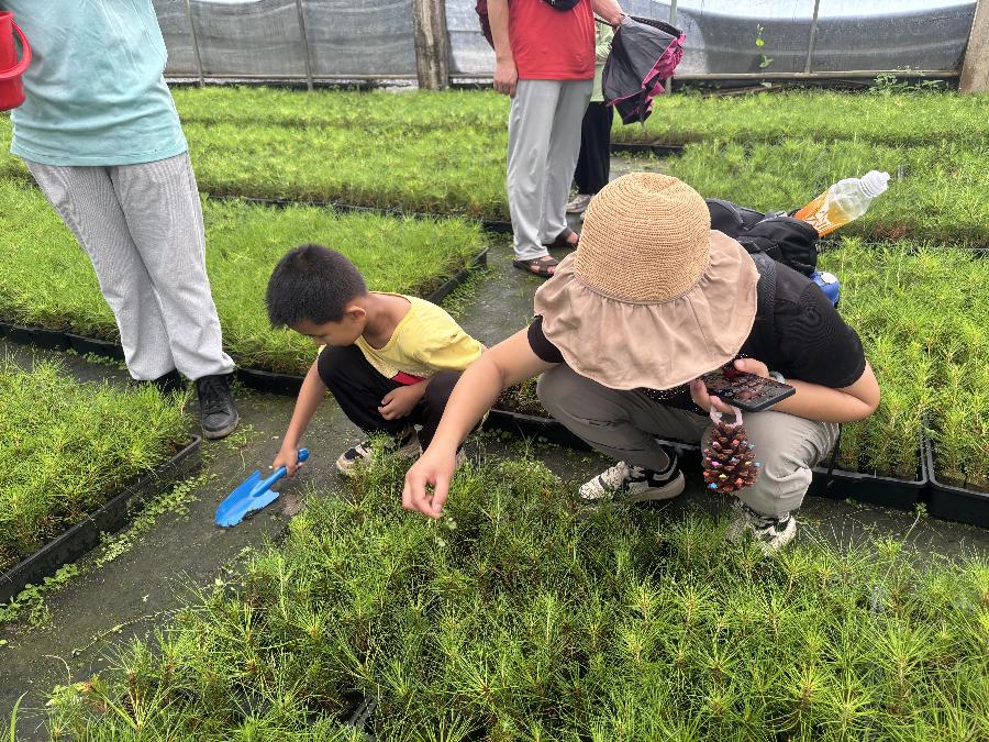 亲子家庭化身绿美小卫士？台山这场精彩之旅你了解吗  第4张