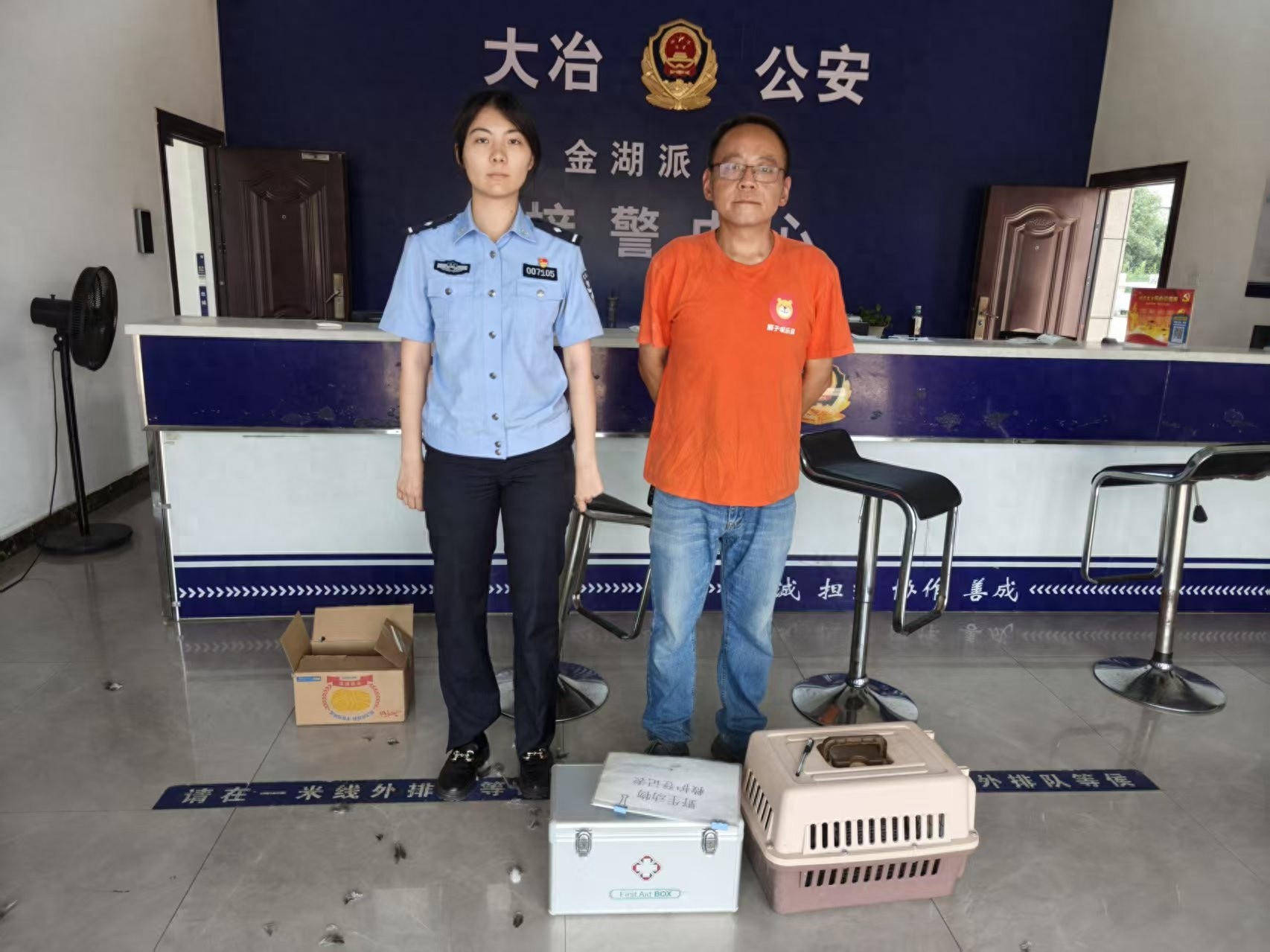 5月19日！救助的国家二级保护动物白鹇被放归自然？背后故事惊人