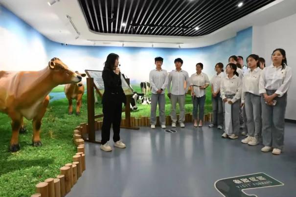 万名学子游邢襄新质发展研学活动，究竟藏着啥惊喜？