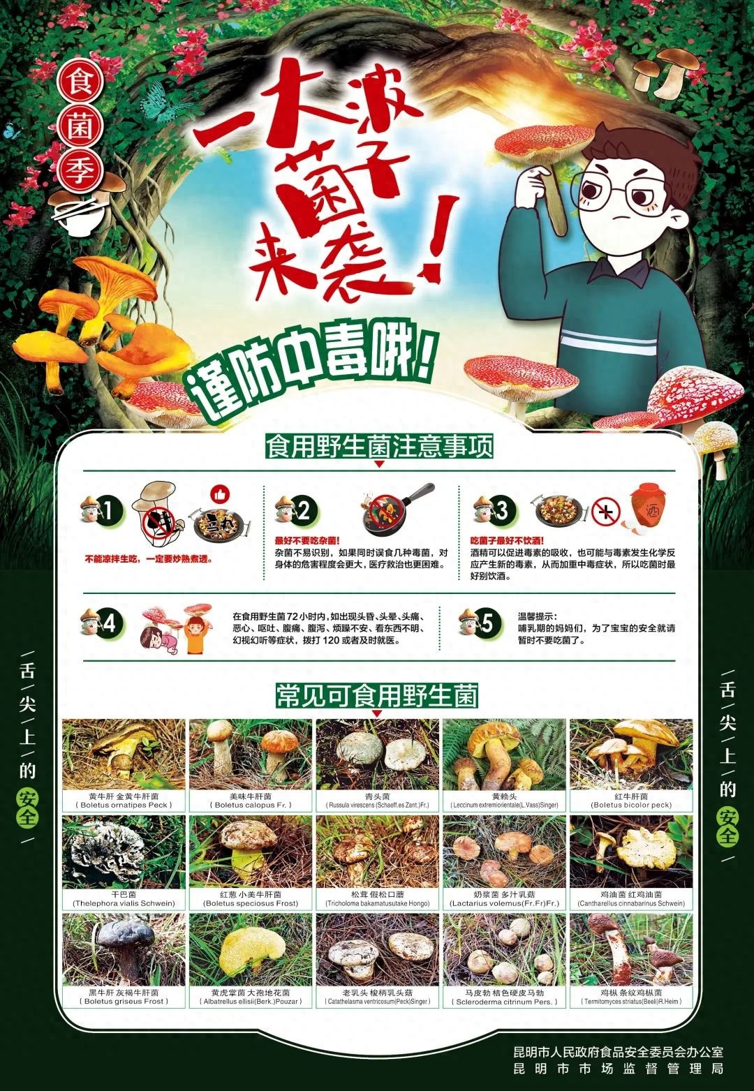 雨季来临！野生菌旺季将至，昆明发布2025年中毒防控预警？