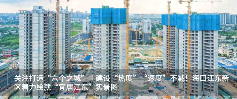 海口某企业信用修复难题化解！标准化服务转变有何重大意义？