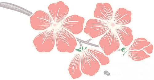 5·20！多伦县教育局联合多部门对全县校园食堂全覆盖督导检查？  第2张