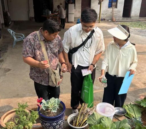 瑞丽市卫生健康系统登革热防控举措，能否为老人健康撑起保护伞？  第3张