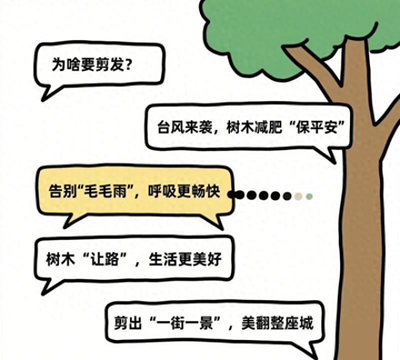 广州街头树木大变样？台风、毛毛雨、挡光问题全解决了