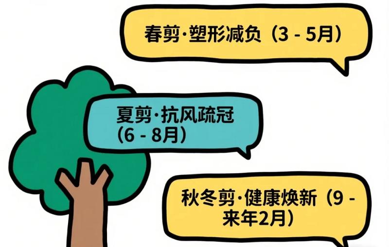 广州街头树木大变样？台风、毛毛雨、挡光问题全解决了  第3张