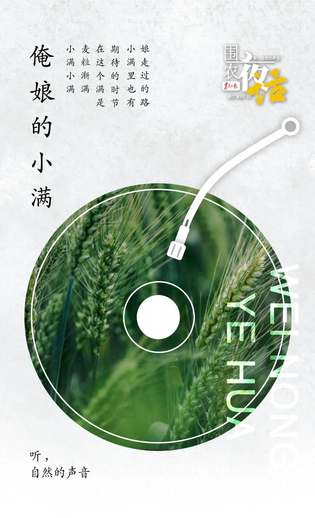 小满时节，麦穗初齐丰收在望，可娘那句‘小满小满，还有危险’藏着啥心思？