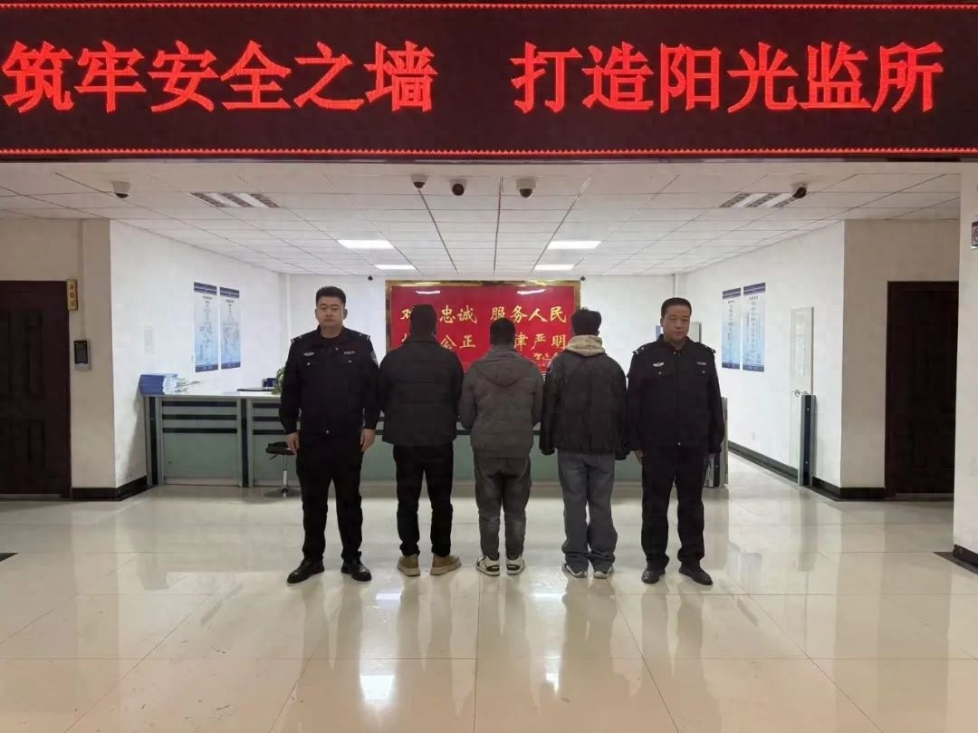 2025年乐都区公安局如何擎起守护群众平安灯？揭秘碾伯大防区的治安整治奇迹  第1张