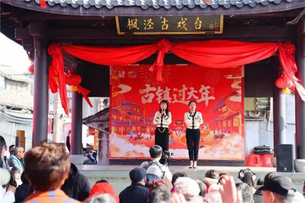 2025枫泾古镇过大年庆典：跨吴越结界·游不夜枫泾，你准备好迎接这场视觉盛宴了吗？  第4张