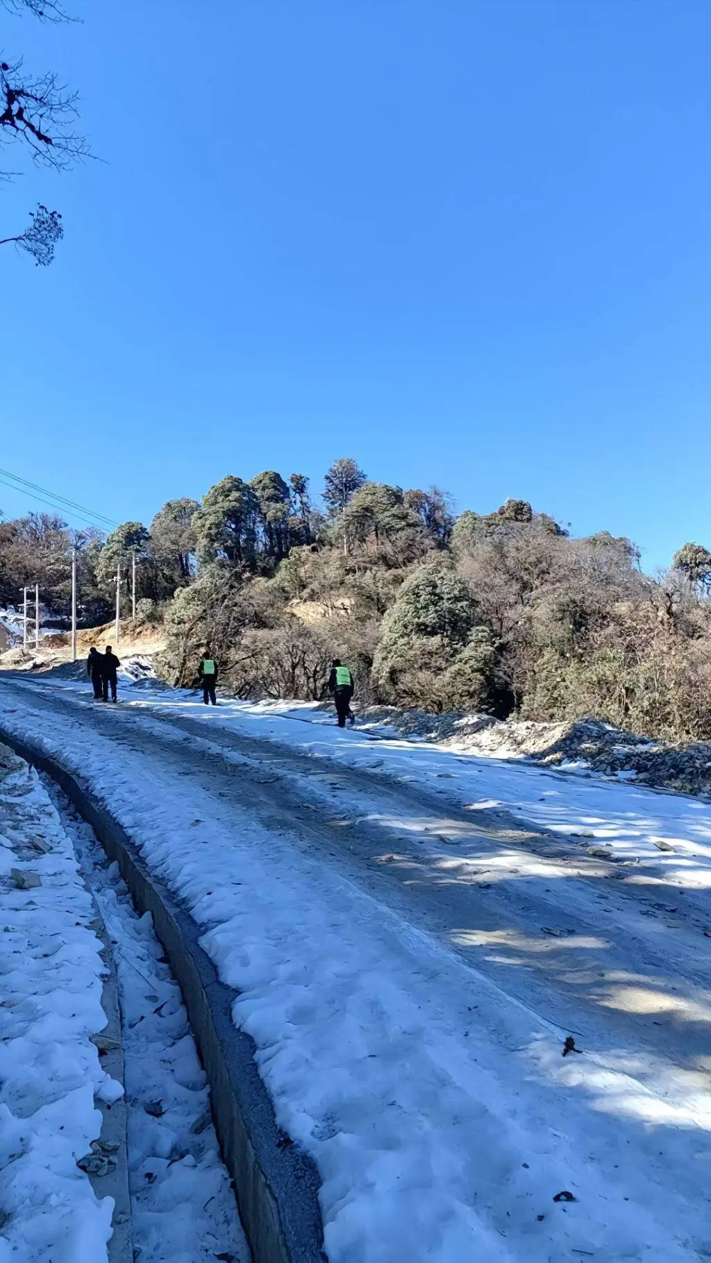 8岁女童在2900米高山失踪3天，家人心急如焚！她究竟去了哪里？  第2张