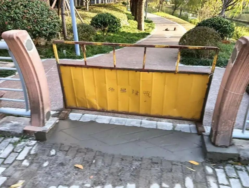 南桥镇良友新村加装电梯,居民为何连送两面锦旗?暖心实事背后的故事 第6张 南桥镇良友新村加装电梯,居民为何连送两面锦旗?暖心实事背后的故事 第6张