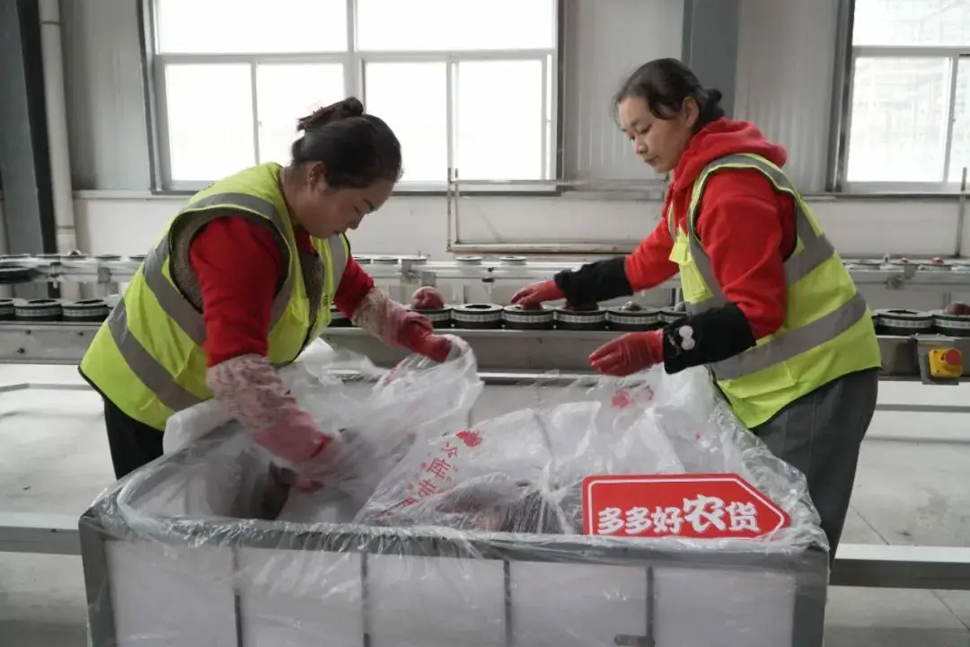 从全职宝妈到电商达人，谢瑞玲如何通过拼多多改变命运？  第1张
