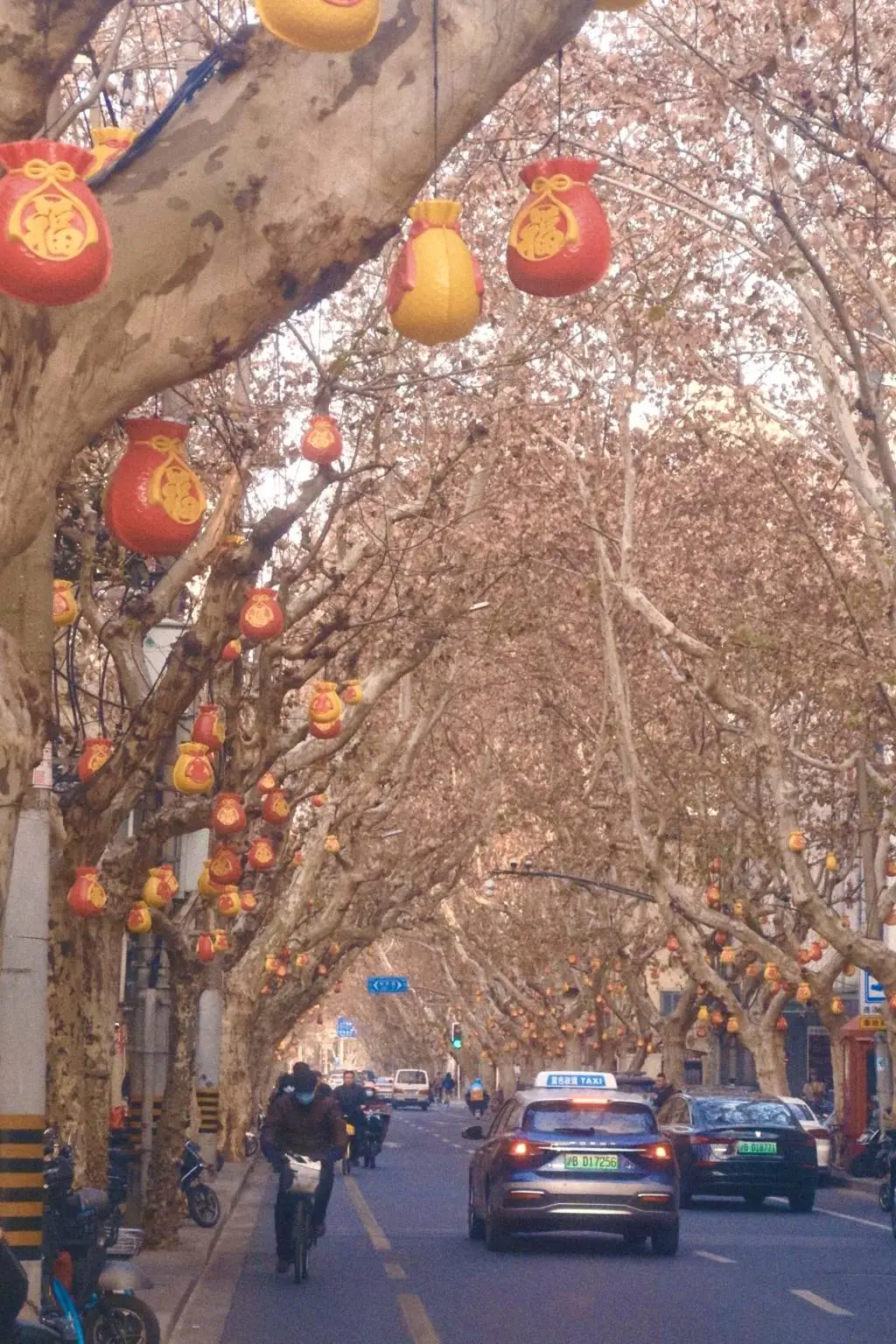 上海广元路福袋挂满树，年味十足！你准备好迎接新年的喜气了吗？  第1张