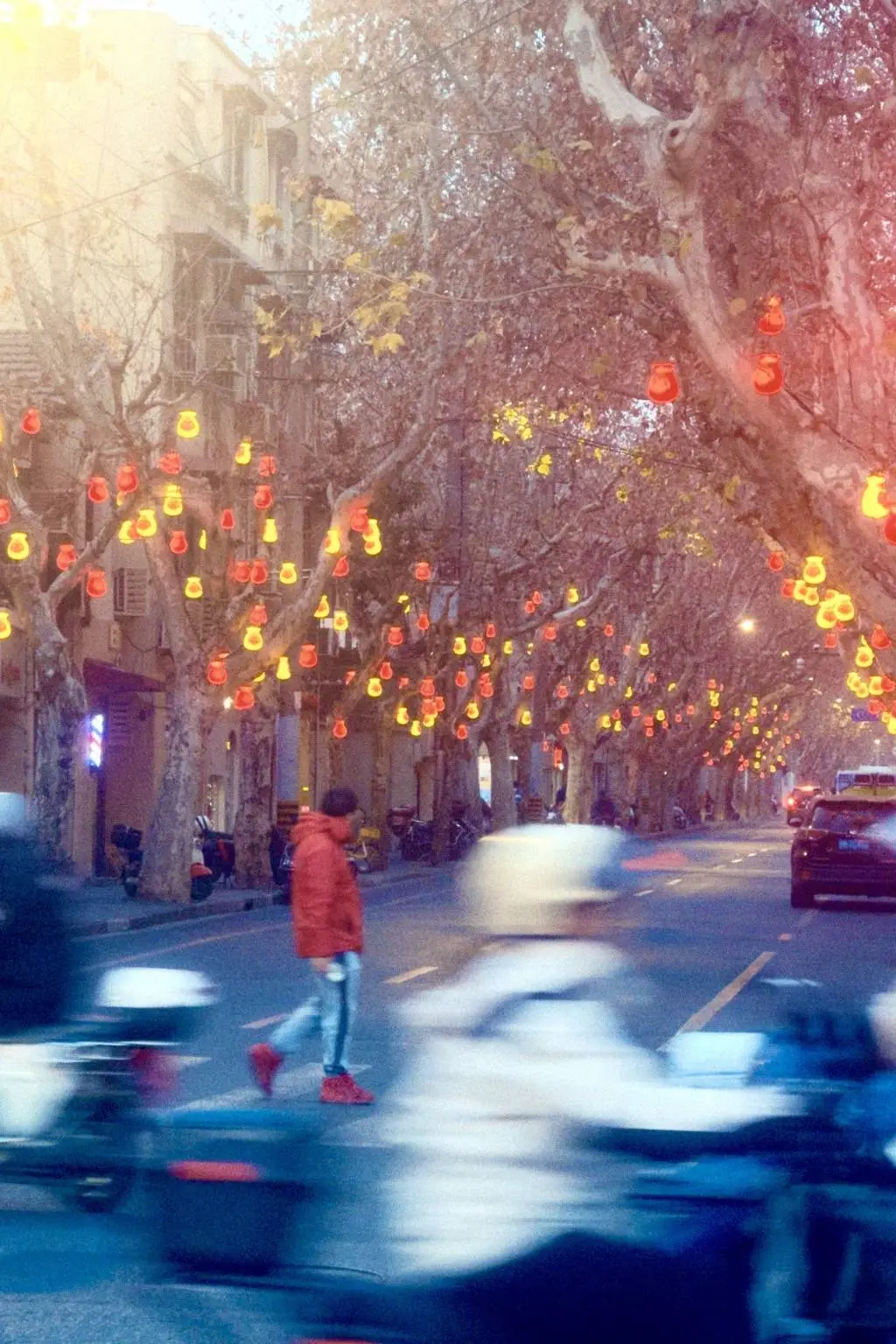 上海广元路福袋挂满树，年味十足！你准备好迎接新年的喜气了吗？  第2张
