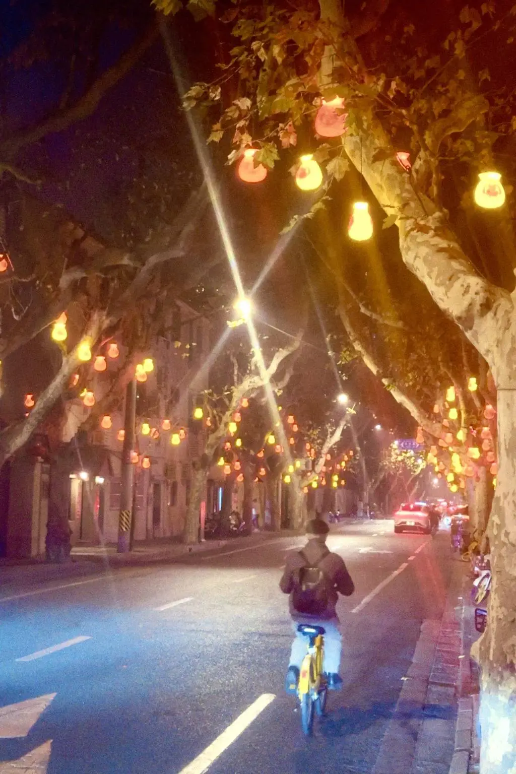 上海广元路福袋挂满树，年味十足！你准备好迎接新年的喜气了吗？  第3张