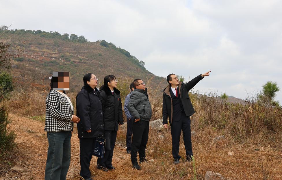 村民一把火烧毁22公顷林地,雨季过后竟现生机!真相究竟如何? 第2张 村民一把火烧毁22公顷林地,雨季过后竟现生机!真相究竟如何? 第2张