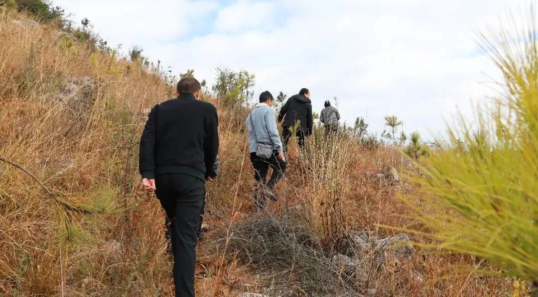 村民一把火烧毁22公顷林地,雨季过后竟现生机!真相究竟如何? 第3张 村民一把火烧毁22公顷林地,雨季过后竟现生机!真相究竟如何? 第3张