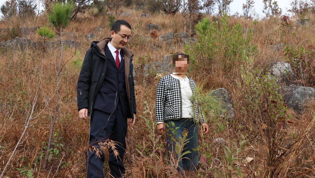 村民一把火烧毁22公顷林地,雨季过后竟现生机!真相究竟如何? 第5张 村民一把火烧毁22公顷林地,雨季过后竟现生机!真相究竟如何? 第5张