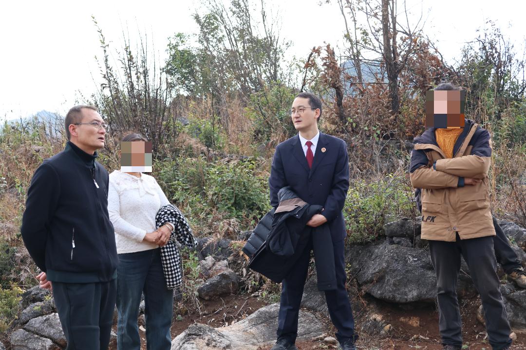 村民一把火烧毁22公顷林地,雨季过后竟现生机!真相究竟如何? 第6张 村民一把火烧毁22公顷林地,雨季过后竟现生机!真相究竟如何? 第6张