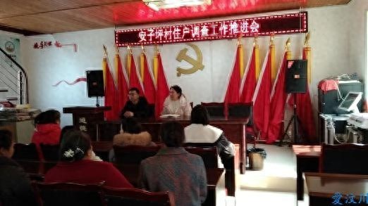 如何通过手机记账提升家庭收支管理水平？漩口镇住户调查工作推进会揭秘