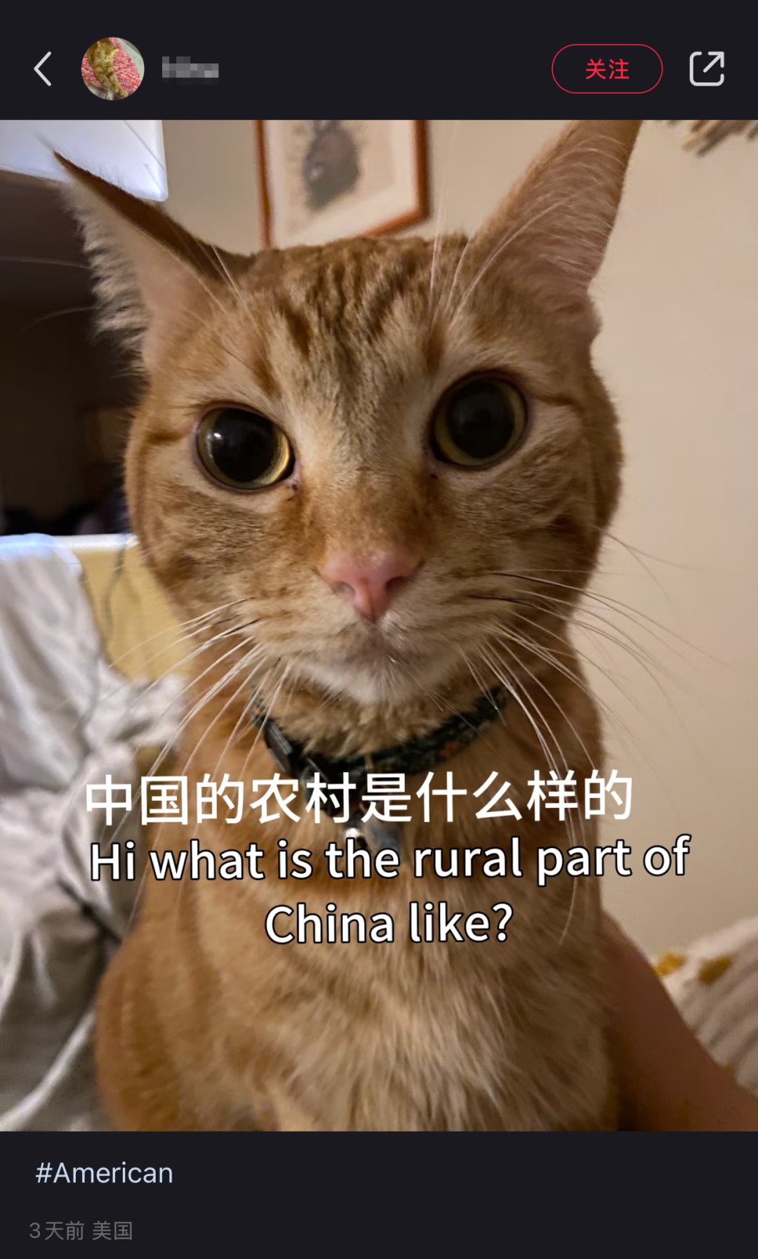 TikTok关停后，小红书竟成全球网友新宠！中外网友如何在这里擦出火花？  第2张