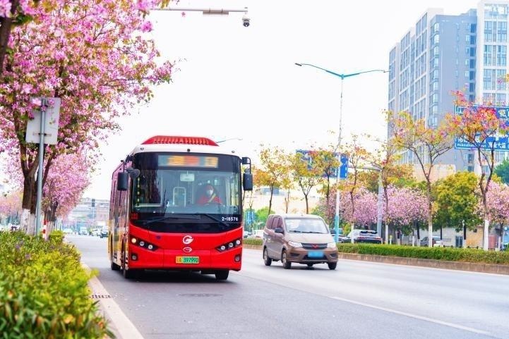广州花都赏花公交攻略出炉!春意正浓,你准备好邂逅满城木棉火红了吗? 第2张 广州花都赏花公交攻略出炉!春意正浓,你准备好邂逅满城木棉火红了吗? 第2张